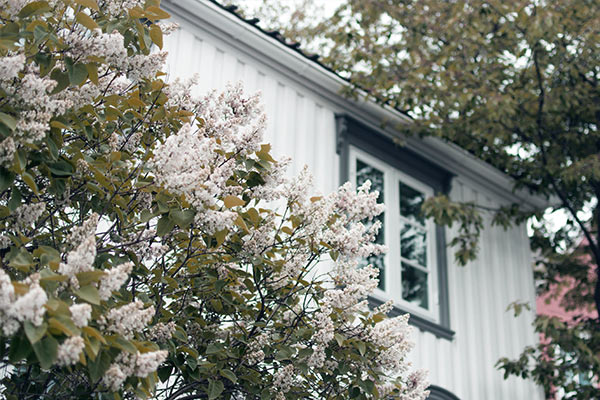 wedding_accommodations